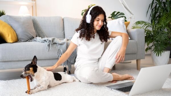 Remote Pet Behavior Training