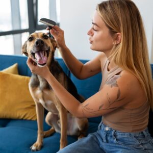 Pet Grooming Guide